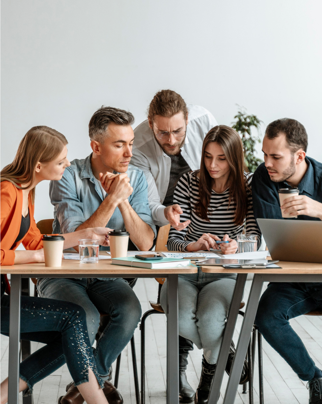 Scholarship Announcements